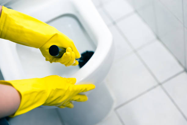 Hate this part of weekend chores Woman cleaning her bathroom toilet with a toilet brush and chemical. toilet brush photos stock pictures, royalty-free photos & images
