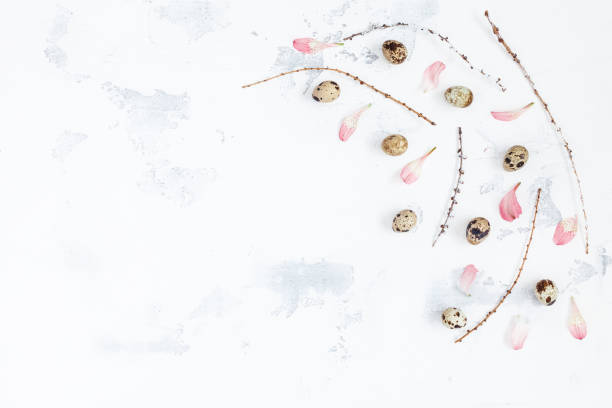 Easter eggs, pink petals and branches on white background.