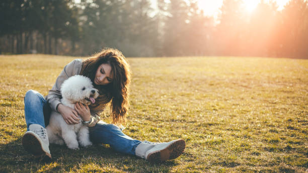 istock I love my fluffy dog so much! 640988418