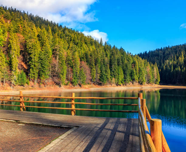 istock pier on mountain Lake near forest 640990094