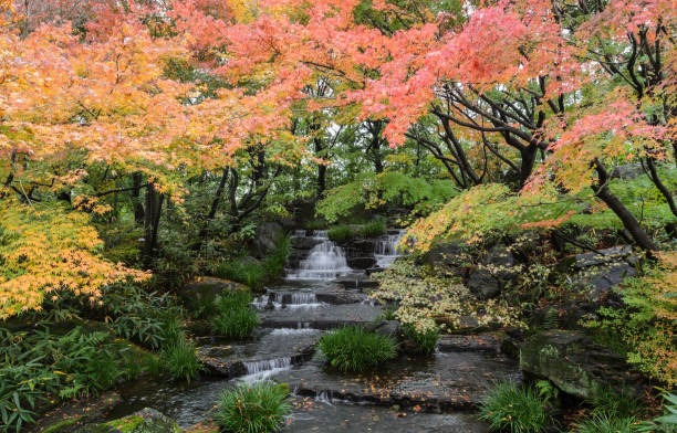 istock Traditional Japanese garden 640990120