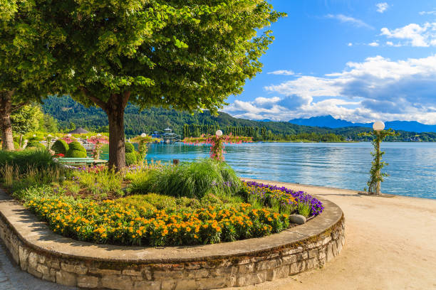 Promenade with flowers along Worthersee lake on beautiful summer day, Austria Most popular lake in Austria for summer holidays pörtschach am wörthersee stock pictures, royalty-free photos & images