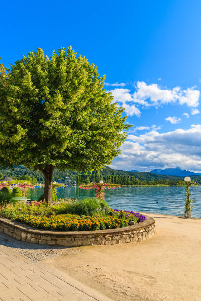 Promenade along Worthersee lake on beautiful summer day, Austria Most popular lake in Austria for summer holidays pörtschach am wörthersee stock pictures, royalty-free photos & images