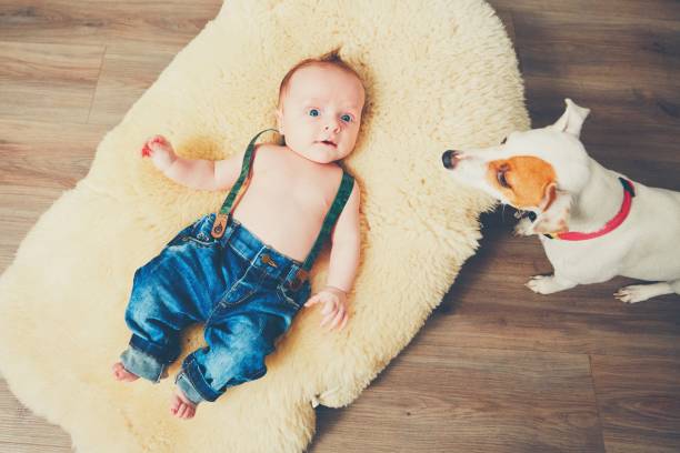 istock Cheerful little boy at home 640999834