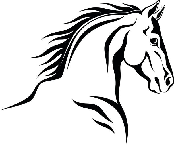ilustraciones, imágenes clip art, dibujos animados e iconos de stock de cabeza de caballo  - colts