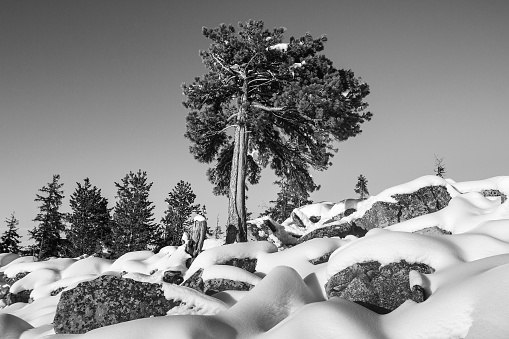 Mountain landscape in black and white. Winter scene.
