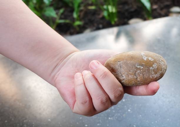 istock Hand Holding A Pieces of Pebble Rock 641003308