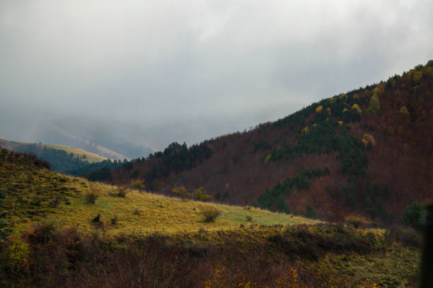 istock Irati forest, Navarre,Pamplona,Spain 641003844
