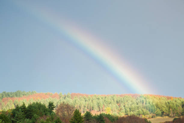 istock Irati forest, Navarre,Pamplona,Spain 641003892