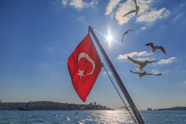 istock Turkish flag with flying seagulls on kadikoy background. 641006672