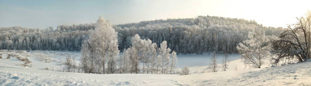 istock Winter woodland panorama with bare trees in hoar 641007094