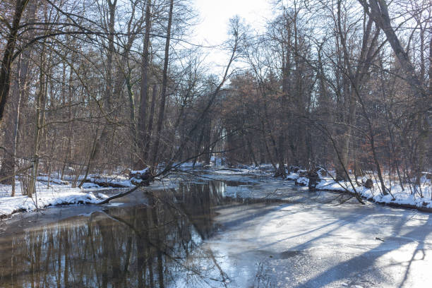 istock Frozen lake in winter with trees in background 641011564