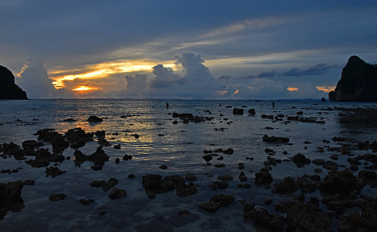 Beautiful sunset panorama on Rocky beach at Low tide