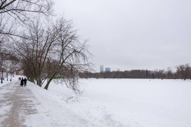 people walking around novodevichy park, with frozen pond. - novodevichy convent imagens e fotografias de stock