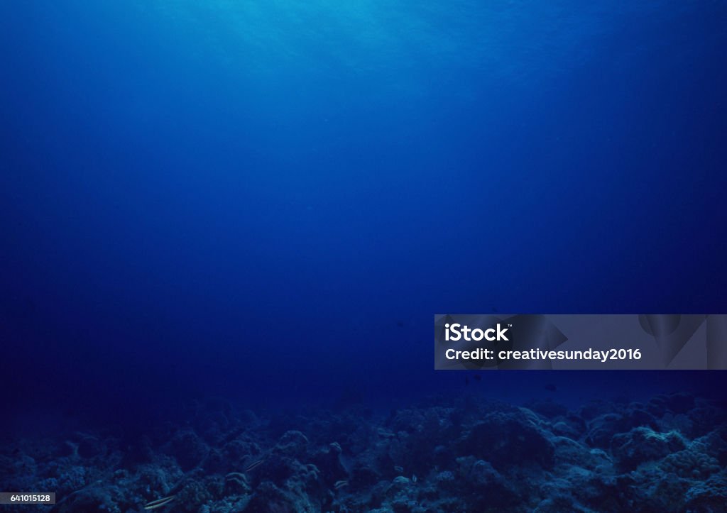 Underwater Bottom of the sea background. Deep Stock Photo