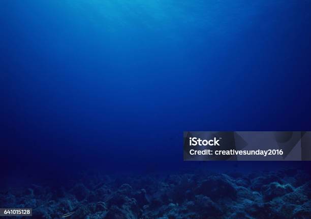 Underwater Stock Photo - Download Image Now - Deep, Sea, Water