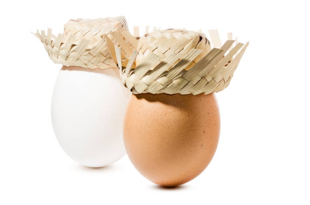 Brown and white eggs with straw hat isolated on white background with clipping path
