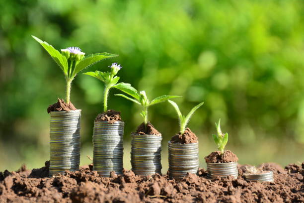 istock Finance stack coins and the green plant on soil 641015884