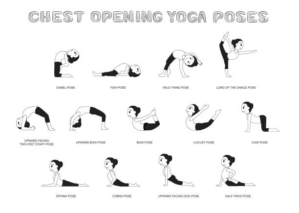 Yoga Chest Opening Poses Vector Illustration Monochrome Yoga Posture EPS10 File Format ustrasana stock illustrations