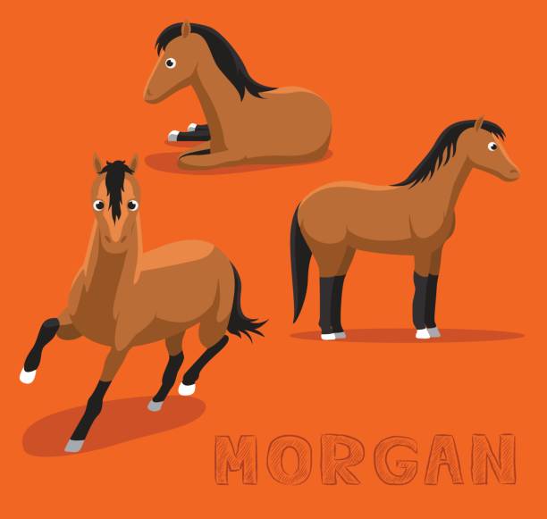 Brown Horse Walking Cartoon Vector Art At Vecteezy Brown Horse Walking Cartoon Vector Art At Vecteezy