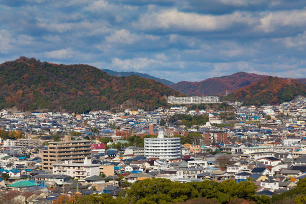 istock Himaji residence downtown aerial view 641023530