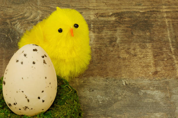 istock Easter decoration on old wooden table 641025500