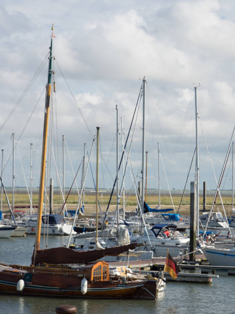 istock Spiekeroog in the north sea 641026052
