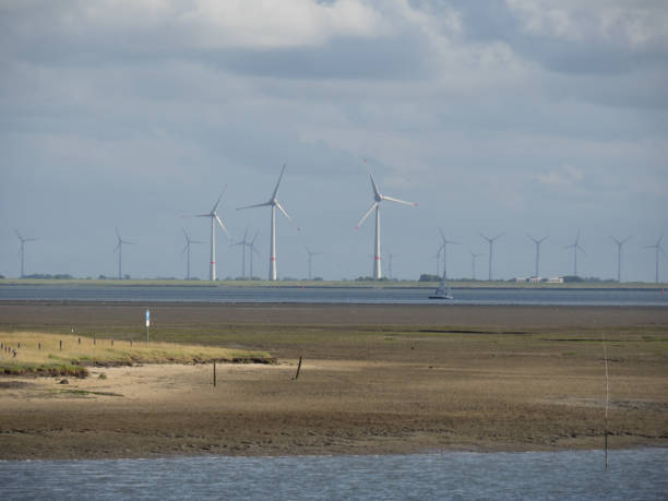 istock Spiekeroog in the north sea 641026586