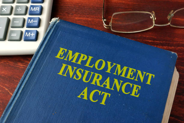 istock Book with title The Employment Insurance Act. 641026834