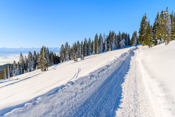 istock Winter road in Gorce Mountains after fresh snowfall, Poland 641030792