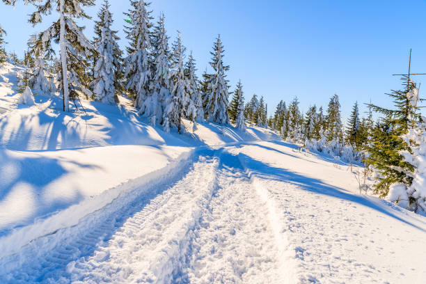istock Winter trail after fresh snowfall in Gorce Mountains, Poland 641030826