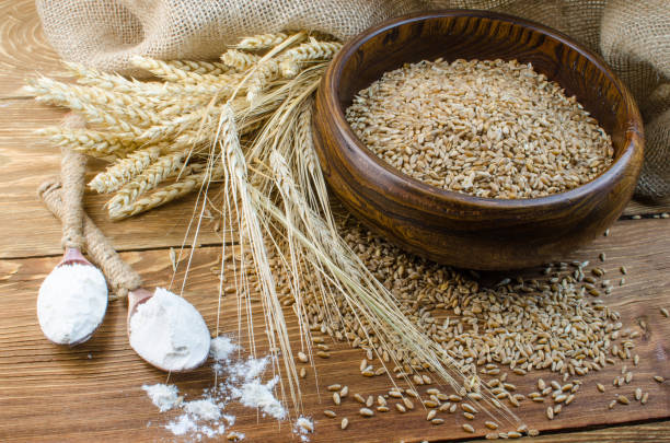 istock Spikes of wheat and refined grains. 641031914