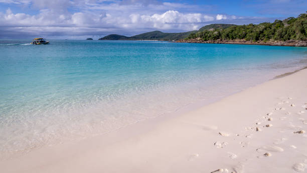 istock Whitehaven beach panorama at Whitsunday Island 641034366