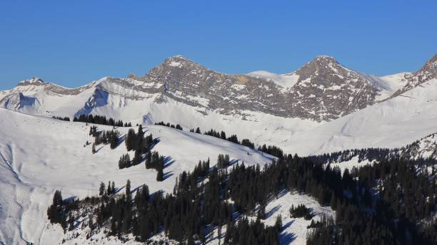 mount vanil noir and other peaks seen from the rellerli ski area - bernese oberland gstaad winter snow imagens e fotografias de stock