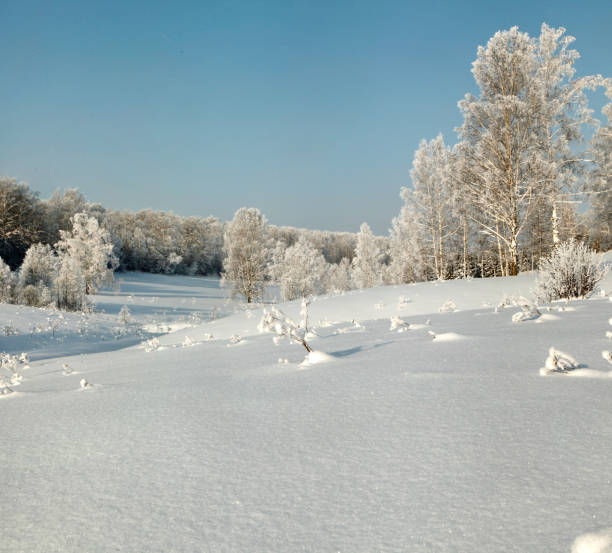 istock Grove on the winter slope with forest and deep snow 641035098