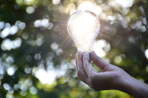 istock Hand holding light bulb for success or solar energy 641037582