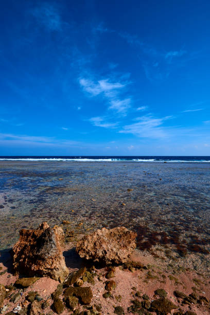 istock seascape in summer day 641038224