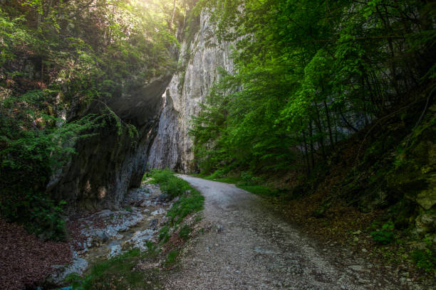 istock country road in the mountains 641041296