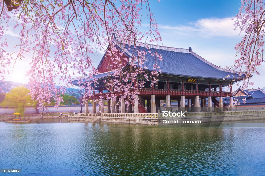 Palacio de Gyeongbokgung en primavera - Foto de stock de Seúl libre de derechos