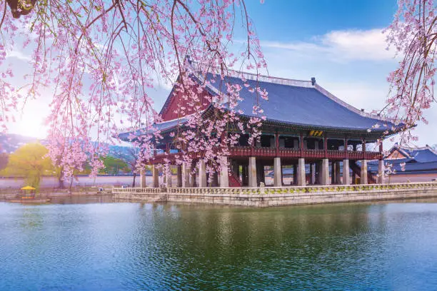Photo of gyeongbokgung palace in spring