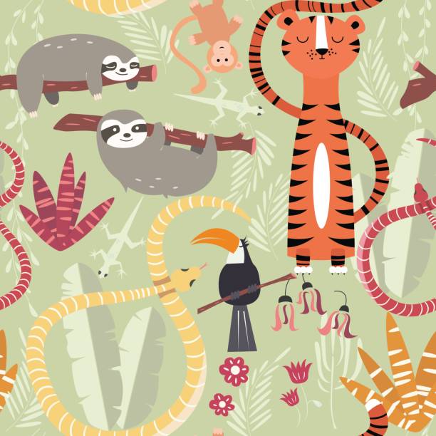 ilustrações, clipart, desenhos animados e ícones de padrão sem emenda com animais da floresta de chuva bonitinho, tigre, cobra, bicho-preguiça - snake tropical rainforest animal rainforest