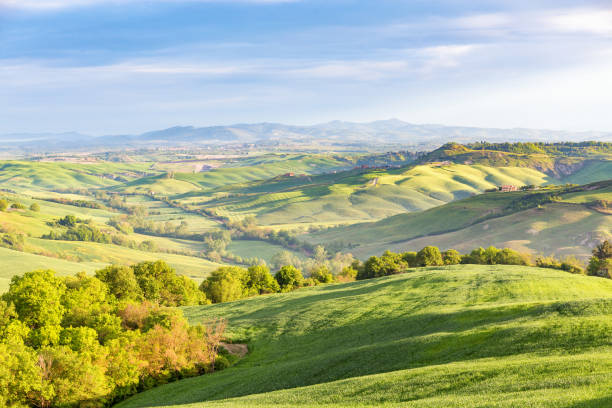 istock Rural rolling landscape view in a valley in Italy 641045278