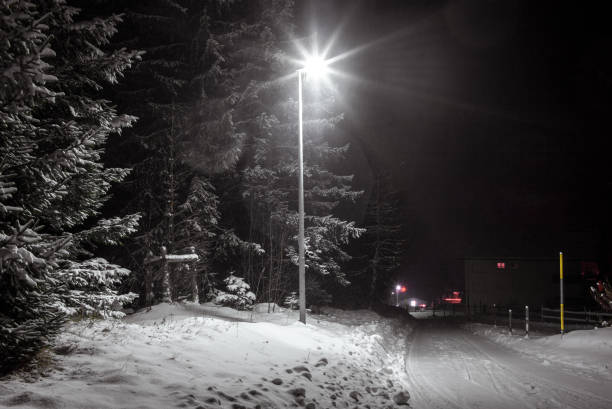 istock Empty street at night during an intense snowfall 641049530