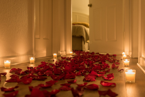 A cozy hallway with warm light from candles and a path of rose petals towards a room with a bed.