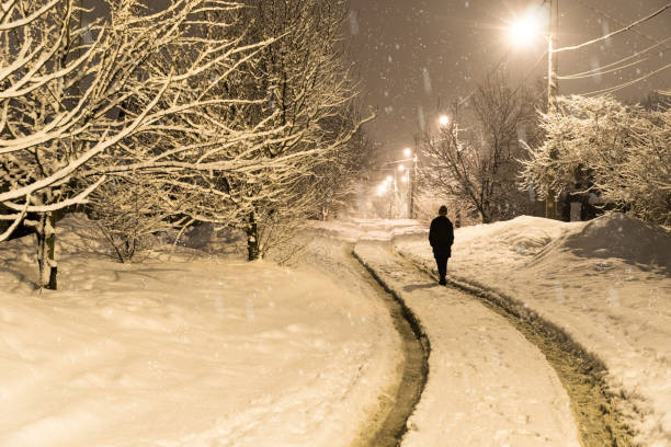 istock Woman walking distance in the winter 641055228