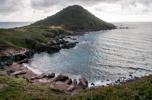 Corsica coastline in winter a view of a beach in Corsica covered with posidonia algae torn off by a storm algue stock pictures, royalty-free photos & images