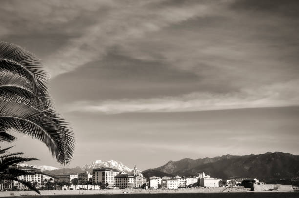 Ajaccio in black and white a black and white view of the city of Ajaccio with palm branches in the foreground and snow-capped mountains in the distance image en noir et blanc stock pictures, royalty-free photos & images