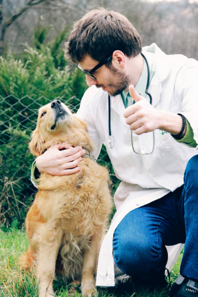 istock veterinarian and dog 641060822