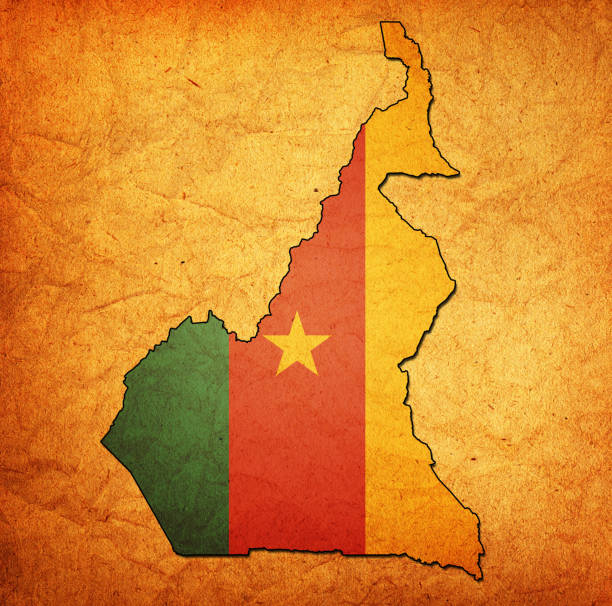 istock map with flag of cameroon 641061566