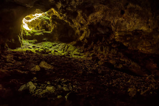 istock Entrance to the karst cave 641062650